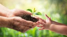 El cuidado de la naturaleza es vital para nuestra salud